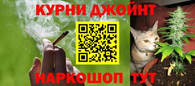 шишки Жуковский