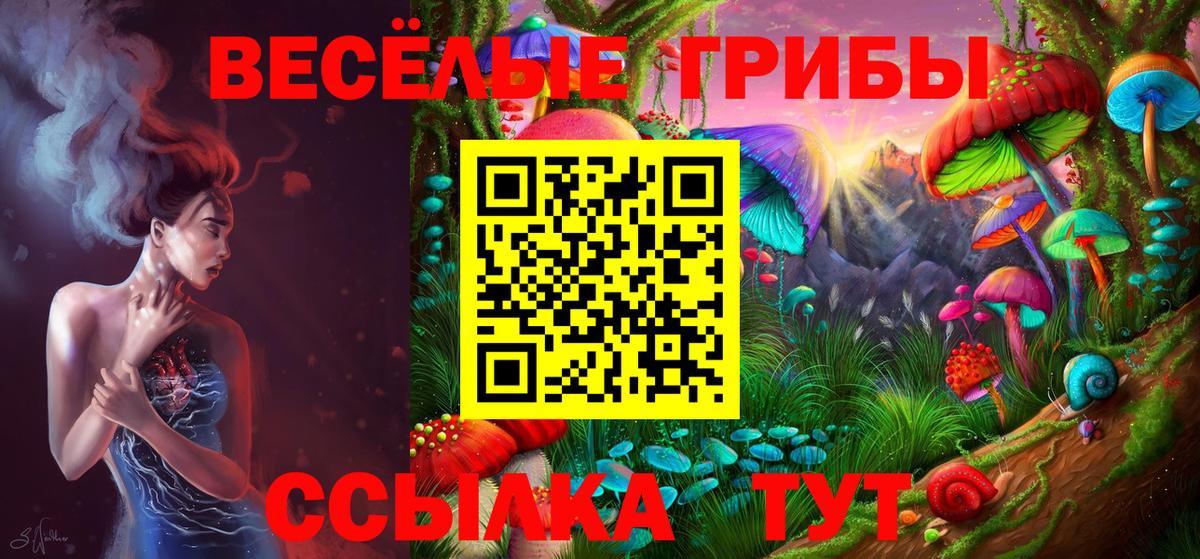 Галлюциногенные грибы мухоморы  Псилоцибиновые грибы мицелий  сколько стоит  Вход с VPN  Людиново 