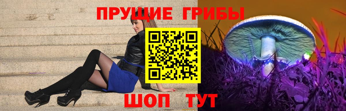 Галлюциногенные грибы прущие грибы Людиново